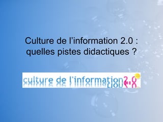 Culture de l’information 2.0 : quelles pistes didactiques ? 