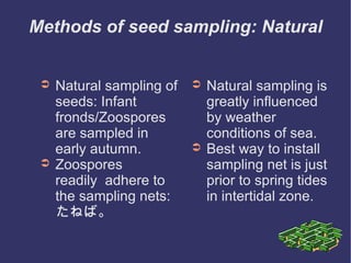 Nature Sampling Culture of Monostroma | PPT