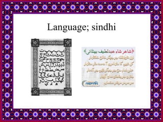 Language; sindhi
 