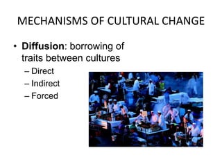 MECHANISMS OF CULTURAL CHANGE 
• Diffusion: borrowing of 
traits between cultures 
– Direct 
– Indirect 
– Forced 
 