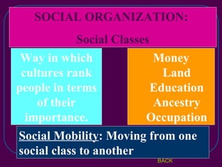 SOCIAL ORGANIZATION:  Social Classes Way in which cultures rank people in terms of their importance. Social Mobility : Moving from one social class to another Money Land Education Ancestry Occupation BACK 