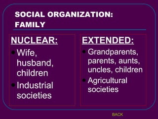 SOCIAL ORGANIZATION: FAMILY NUCLEAR: Wife, husband, children Industrial societies EXTENDED: Grandparents, parents, aunts, uncles, children Agricultural societies BACK 