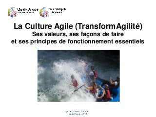 1
La Culture Agile (TransformAgilité)
Ses valeurs, ses façons de faire
et ses principes de fonctionnement essentiels
 
