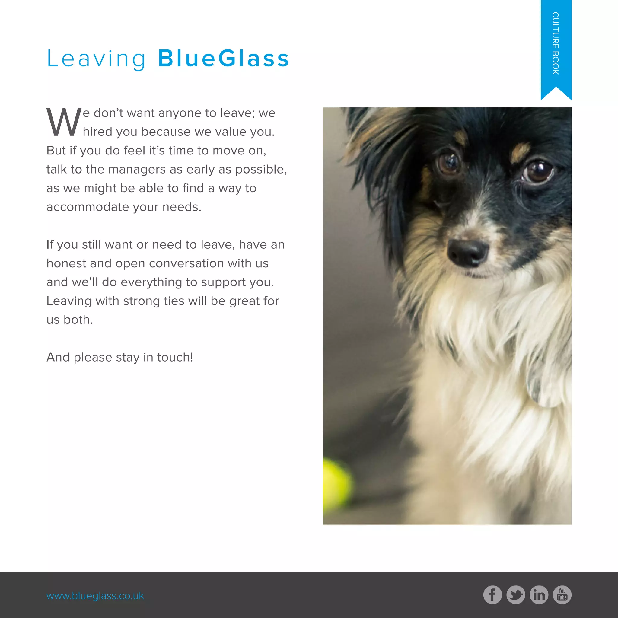 www.blueglass.co.uk
CULTUREBOOK
We don’t want anyone to leave; we
hired you because we value you.
But if you do feel it’s time to move on,
talk to the managers as early as possible,
as we might be able to find a way to
accommodate your needs.
If you still want or need to leave, have an
honest and open conversation with us
and we’ll do everything to support you.
Leaving with strong ties will be great for
us both.
And please stay in touch!
Leaving BlueGlass
 