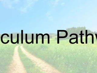 iculum Pathw
 