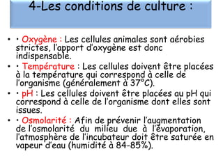4-Les conditions de culture :
• • Oxygène : Les cellules animales sont aérobies
strictes, l’apport d’oxygène est donc
indispensable.
• • Température : Les cellules doivent être placées
à la température qui correspond à celle de
l’organisme (généralement à 37°C).
• • pH : Les cellules doivent être placées au pH qui
correspond à celle de l’organisme dont elles sont
issues.
• • Osmolarité : Afin de prévenir l’augmentation
de l’osmolarité du milieu due à l’évaporation,
l’atmosphère de l’incubateur doit être saturée en
vapeur d’eau (humidité à 84-85%).

 