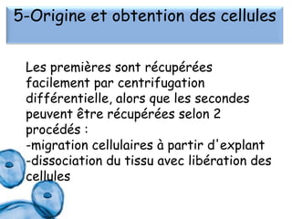 5-Origine et obtention des cellules
Les premières sont récupérées
facilement par centrifugation
différentielle, alors que les secondes
peuvent être récupérées selon 2
procédés :
-migration cellulaires à partir d'explant
-dissociation du tissu avec libération des
cellules

 