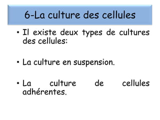 6-La culture des cellules
• Il existe deux types de cultures
des cellules:
• La culture en suspension.
• La
culture
adhérentes.

de

cellules

 
