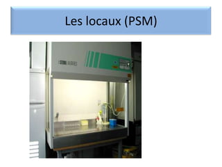 Les locaux (PSM)

 