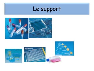 Le support

 