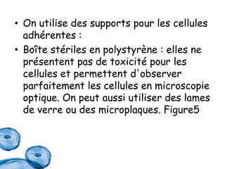 • On utilise des supports pour les cellules
adhérentes :
• Boîte stériles en polystyrène : elles ne
présentent pas de toxicité pour les
cellules et permettent d'observer
parfaitement les cellules en microscopie
optique. On peut aussi utiliser des lames
de verre ou des microplaques. Figure5

 