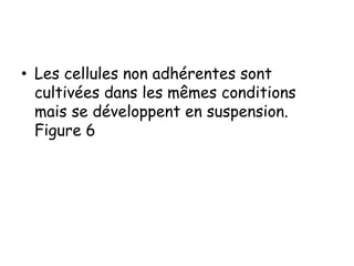 • Les cellules non adhérentes sont
cultivées dans les mêmes conditions
mais se développent en suspension.
Figure 6

 