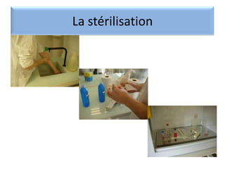 La stérilisation

 