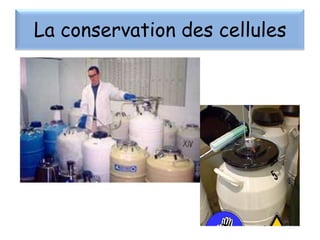 La conservation des cellules

 