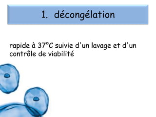 1. décongélation
rapide à 37°C suivie d'un lavage et d'un
contrôle de viabilité

 