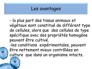 Les avantages
- la plus part des tissus animaux et
végétaux sont constitué de différent type
de cellules, alors que des cellules de type
spécifique avec des propriétés homogène
peuvent être cultivé.
-les conditions expérimentales, peuvent
être nettement mieux contrôlées en
culture que dans un organisme intacts.

 