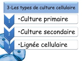 3-Les types de culture cellulaire
1

•Culture primaire

2

•Culture secondaire

3

•Lignée cellulaire

 