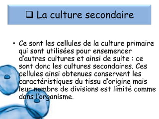 La culture secondaire
• Ce sont les cellules de la culture primaire
qui sont utilisées pour ensemencer
d’autres cultures et ainsi de suite : ce
sont donc les cultures secondaires. Ces
cellules ainsi obtenues conservent les
caractéristiques du tissu d’origine mais
leur nombre de divisions est limité comme
dans l’organisme.

 