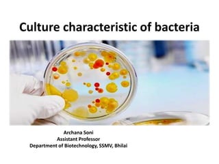 Culture characteristic of bacteria
Archana Soni
Assistant Professor
Department of Biotechnology, SSMV, Bhilai
 