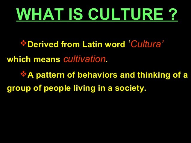 Culture Civilization culture-civilization