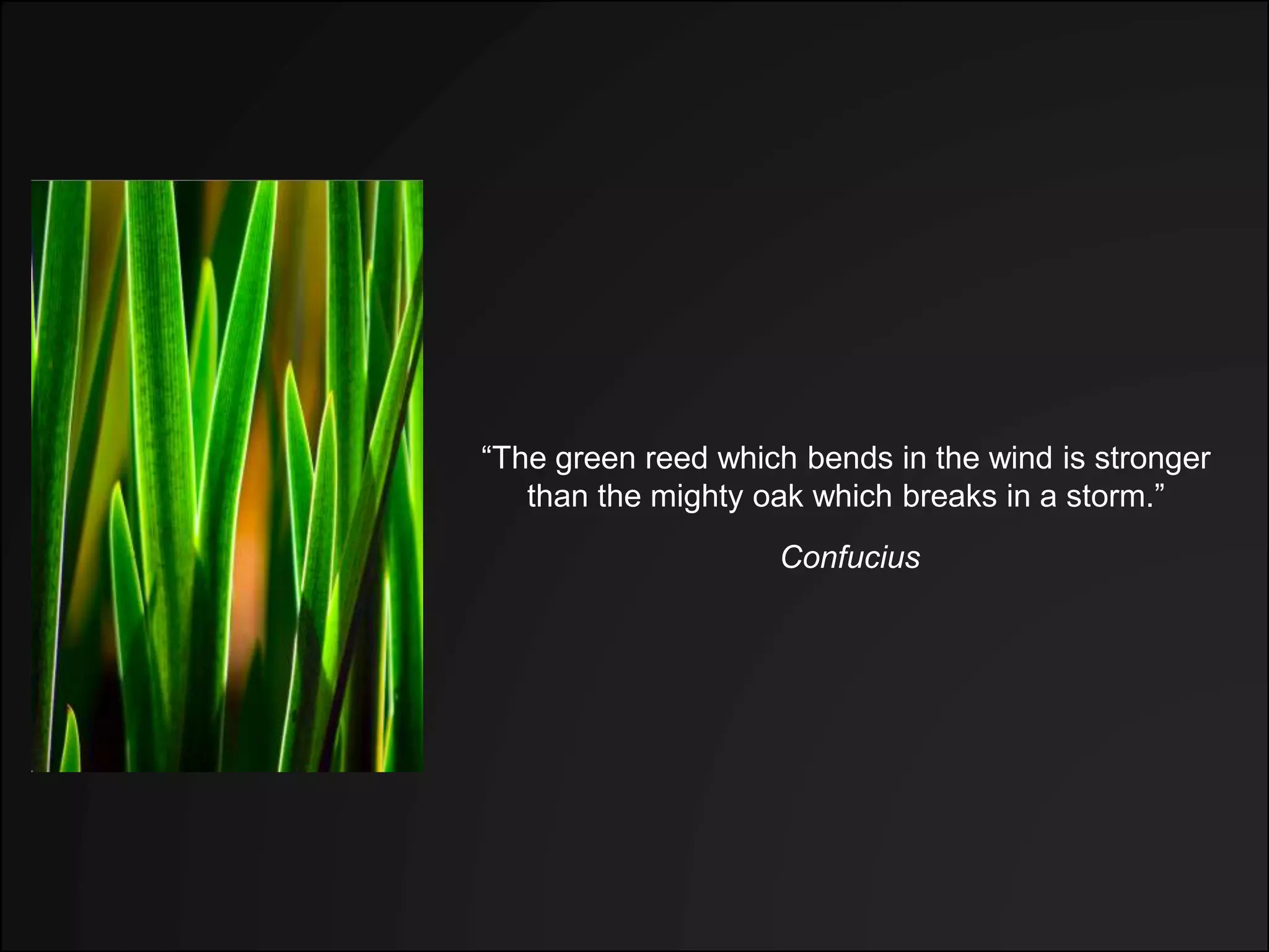 “The green reed which bends in the wind is stronger
than the mighty oak which breaks in a storm.”
Confucius
 