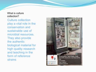 System Culture Collection Culture Collection centers- Musthafa.pptx