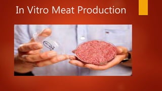 In Vitro Meat Production
 