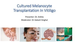 Cultured Melanocyte
Transplantation In Vitiligo
Presenter: Dr. Ankita
Moderator: Dr Aakash Singhal
 