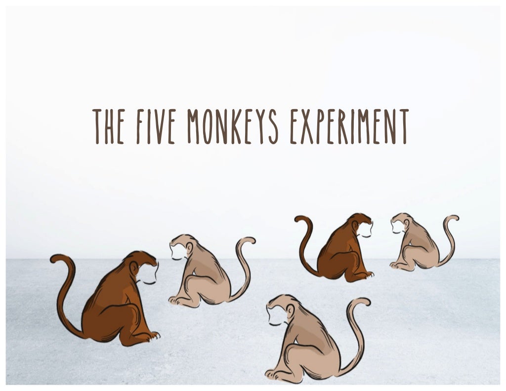 The Five Monkeys Experiment