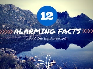 ALARMING FACTS
about the environment
12
 