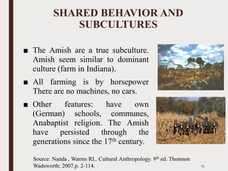 SHARED BEHAVIOR AND
SUBCULTURES
■ The Amish are a true subculture.
Amish seem similar to dominant
culture (farm in Indiana).
■ All farming is by horsepower
There are no machines, no cars.
■ Other features: have own
(German) schools, communes,
Anabaptist religion. The Amish
have persisted through the
generations since the 17th century.
31
Source: Nanda , Warms RL. Cultural Anthropology. 9th ed. Thomson
Wadsworth; 2007.p. 2-114.
 