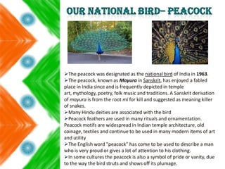 The peacock was designated as the national bird of India in 1963.
The peacock, known as Mayura in Sanskrit, has enjoyed a fabled
place in India since and is frequently depicted in temple
art, mythology, poetry, folk music and traditions. A Sanskrit derivation
of mayura is from the root mi for kill and suggested as meaning killer
of snakes.
Many Hindu deities are associated with the bird
Peacock feathers are used in many rituals and ornamentation.
Peacock motifs are widespread in Indian temple architecture, old
coinage, textiles and continue to be used in many modern items of art
and utility
The English word "peacock" has come to be used to describe a man
who is very proud or gives a lot of attention to his clothing.
In some cultures the peacock is also a symbol of pride or vanity, due
to the way the bird struts and shows off its plumage.
 