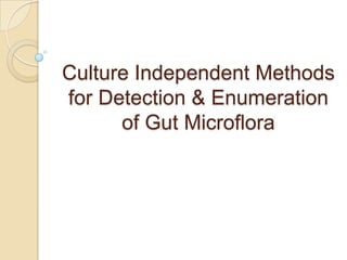 Culture Independent Methods
for Detection & Enumeration
of Gut Microflora

 