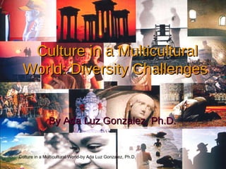Culture in a Multicultural World-by Ada Luz Gonzalez, Ph.D.
Culture in a MulticulturalCulture in a Multicultural
World: Diversity ChallengesWorld: Diversity Challenges
By Ada Luz Gonzalez, Ph.D.By Ada Luz Gonzalez, Ph.D.
 