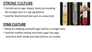 Urease Streaking CULTURE MEDIA-1.pptx media ingredients and preparation | PPTX