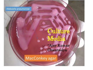 Culture
Media
-Ajay Kumar
Chaurasiya
 