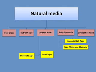 Culture media & its types with examples | PPT