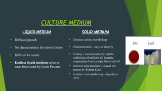CULTURE MEDIUM
LIQUID MEDIUM
• Diffused growth
• No characteristics for identification
• Difficult to isolate
• Earliest liquid medium urine or
meat broth used by Louis Pasteur
SOLID MEDIUM
• Distinct colony morphology
• Characteristics – easy to identify
• Colony - macroscopically visible
collection of millions of bacteria
originating from a single bacterial cell
• Earliest solid medium: Cooked cut
potato by Robert Koch
• Gelatin - not satisfactory - liquefy at
24℃
 