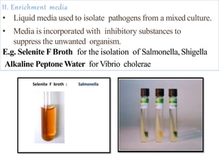 II. Enrichment media
• Liquid media used to isolate pathogens from a mixed culture.
• Media is incorporated with inhibitory substances to
suppress the unwanted organism.
E.g. Selenite F Broth for the isolation of Salmonella, Shigella
Alkaline Peptone Water forVibrio cholerae
 