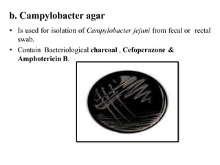 b. Campylobacter agar
• Is used for isolation of Campylobacter jejuni from fecal or rectal
swab.
• Contain Bacteriological charcoal , Cefoperazone &
Amphotericin B.
 