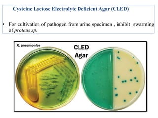 Cysteine Lactose Electrolyte Deficient Agar (CLED)
• For cultivation of pathogen from urine specimen , inhibit swarming
of proteus sp.
 