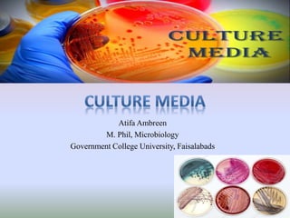 Atifa Ambreen
M. Phil, Microbiology
Government College University, Faisalabads
 