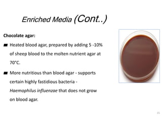Enriched Media (Cont..)
Chocolate agar:
▰ Heated blood agar, prepared by adding 5 -10%
of sheep blood to the molten nutrie...