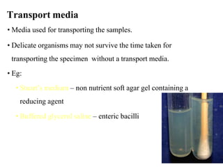 Culture Media.pdf