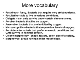 culture media for biochemical identification of bacteria.ppt