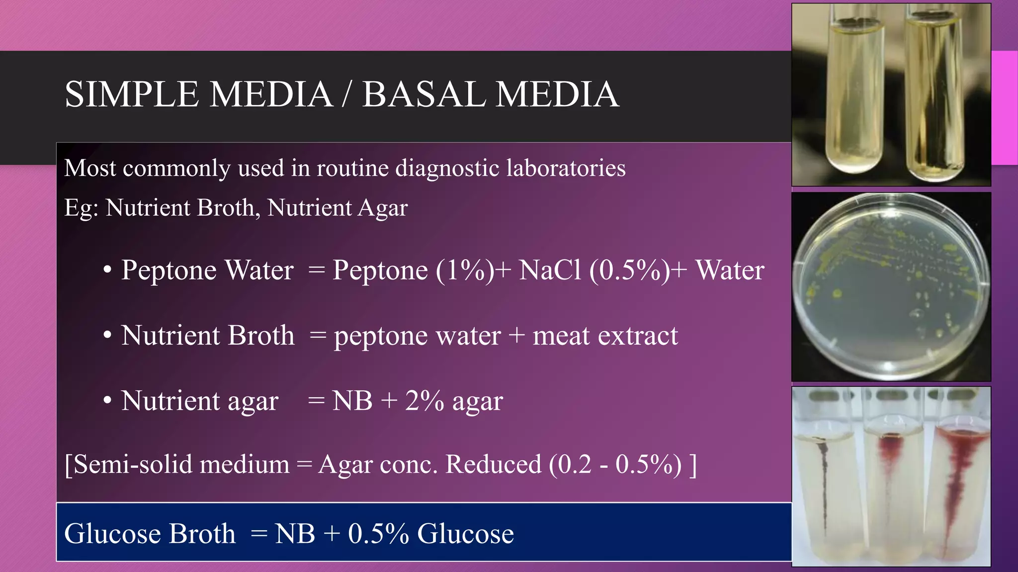 SIMPLE MEDIA / BASAL MEDIA
Most commonly used in routine diagnostic laboratories
Eg: Nutrient Broth, Nutrient Agar
• Peptone Water = Peptone (1%)+ NaCl (0.5%)+ Water
• Nutrient Broth = peptone water + meat extract
• Nutrient agar = NB + 2% agar
[Semi-solid medium = Agar conc. Reduced (0.2 - 0.5%) ]
Glucose Broth = NB + 0.5% Glucose
 