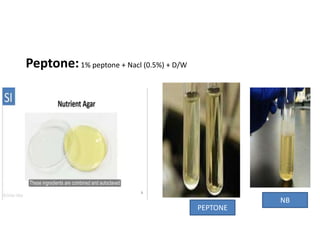 Peptone:1% peptone + Nacl (0.5%) + D/W
PEPTONE
NB
 