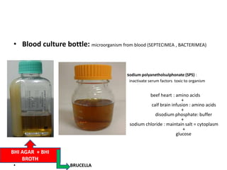 • Blood culture bottle: microorganism from blood (SEPTECIMEA , BACTERIMEA)
sodium polyanetholsulphonate (SPS) :
• inactivate serum factors toxic to organism
beef heart : amino acids
+
calf brain infusion : amino acids
+
disodium phosphate: buffer
+
sodium chloride : maintain salt = cytoplasm
+
glucose
•
• BRUCELLA
BHI AGAR + BHI
BROTH
 