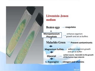 Magnesium Sulfate
Glycerol
L- Asparagine nitrogen and vitamins
Monopotassium
Phosphate
carbon source , favorable to the growth
of the human type tubercle
Prevent contaminants
coagulates
enhance organism growth
and act as buffer
enhance organism
growth and act as buffers
 