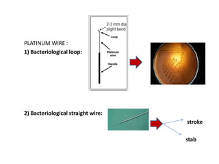 PLATINUM WIRE :
1) Bacteriological loop:
2) Bacteriological straight wire:
stroke
stab
 